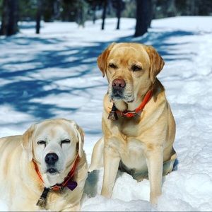 Meet your Posher, Jen